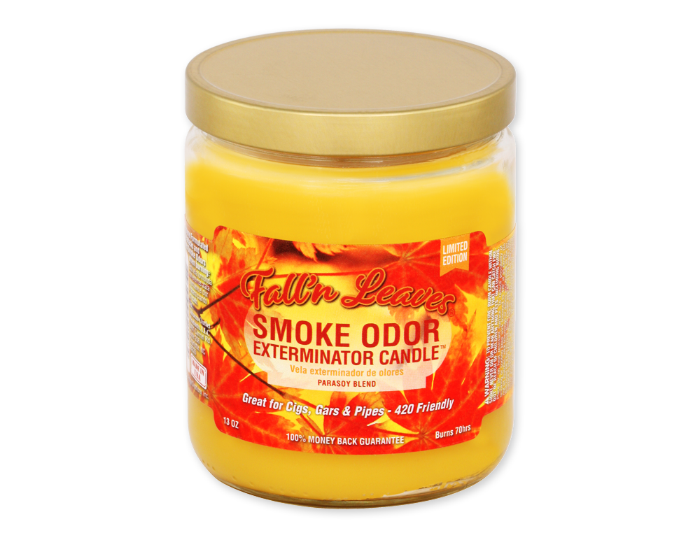 SMOKE ODOR CANDLE 13oz FALL N LEAVES