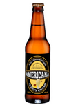 EXOTIC SODA AMERICANA CANE SUGAR SODA 12oz. BOTTLE HONEY CREAM