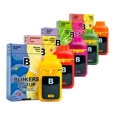 BLINKERS FLIP 2G EMPTY DISPOSABLE