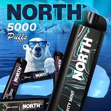 NORTH 5000 PUFFS DISPOSABLE