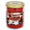 SMOKE ODOR CANDLE 13oz WINTER WINDS CINNAMON SPRINKLE LIMITED EDITION