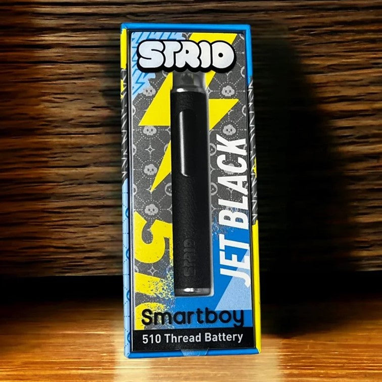 STRIO SMARTBOY 510 BATTERY