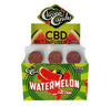 CHRONIC CANDY CBD LOLLIPOP 60 CT/BOX 10MG WATERMELON CON CHILE