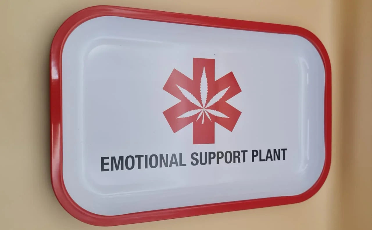 GREEN LINE METAL ROLLING TRAY MEDIUM EMOTIONALSUPPORT