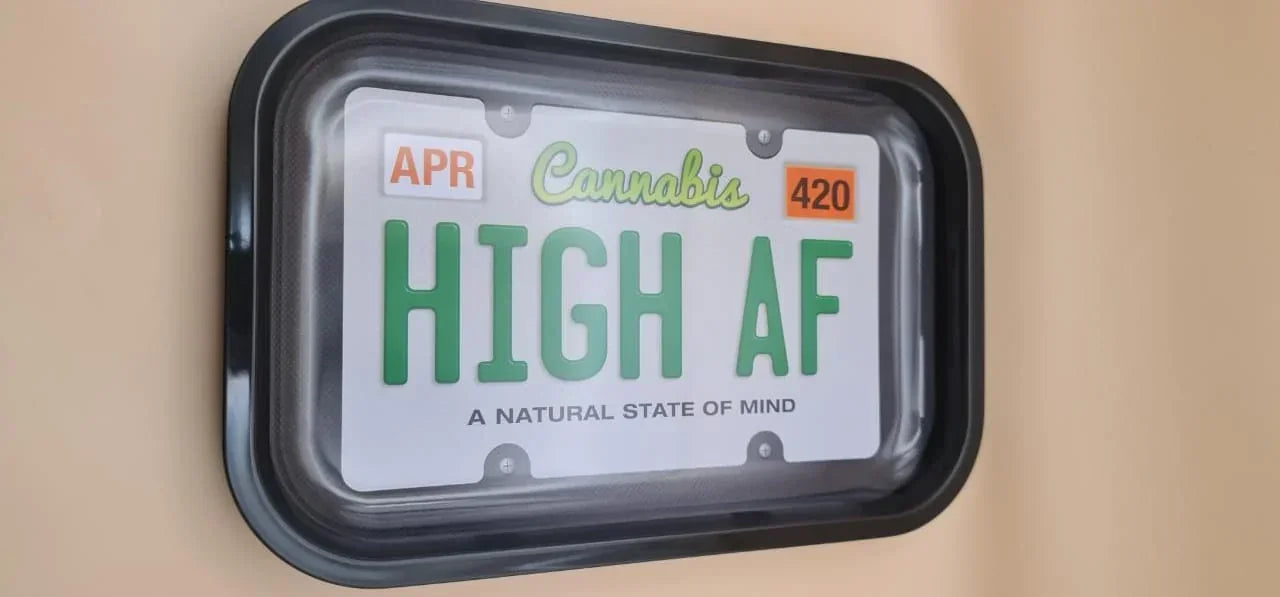 GREEN LINE METAL ROLLING TRAY MEDIUM HIGH AF