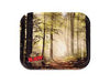 RAW TRAY FORREST LARGE 28311